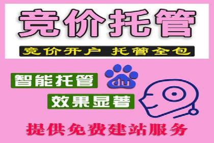 SEM托管服务案例：打造全方位营销解决方案
